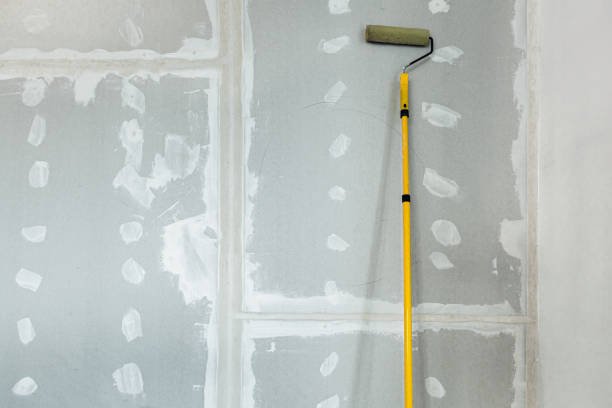 Mold Odor Removal Services in Hereford, TX
